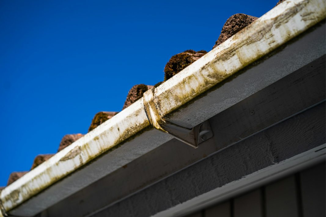 Gutter stained with algae and grime
