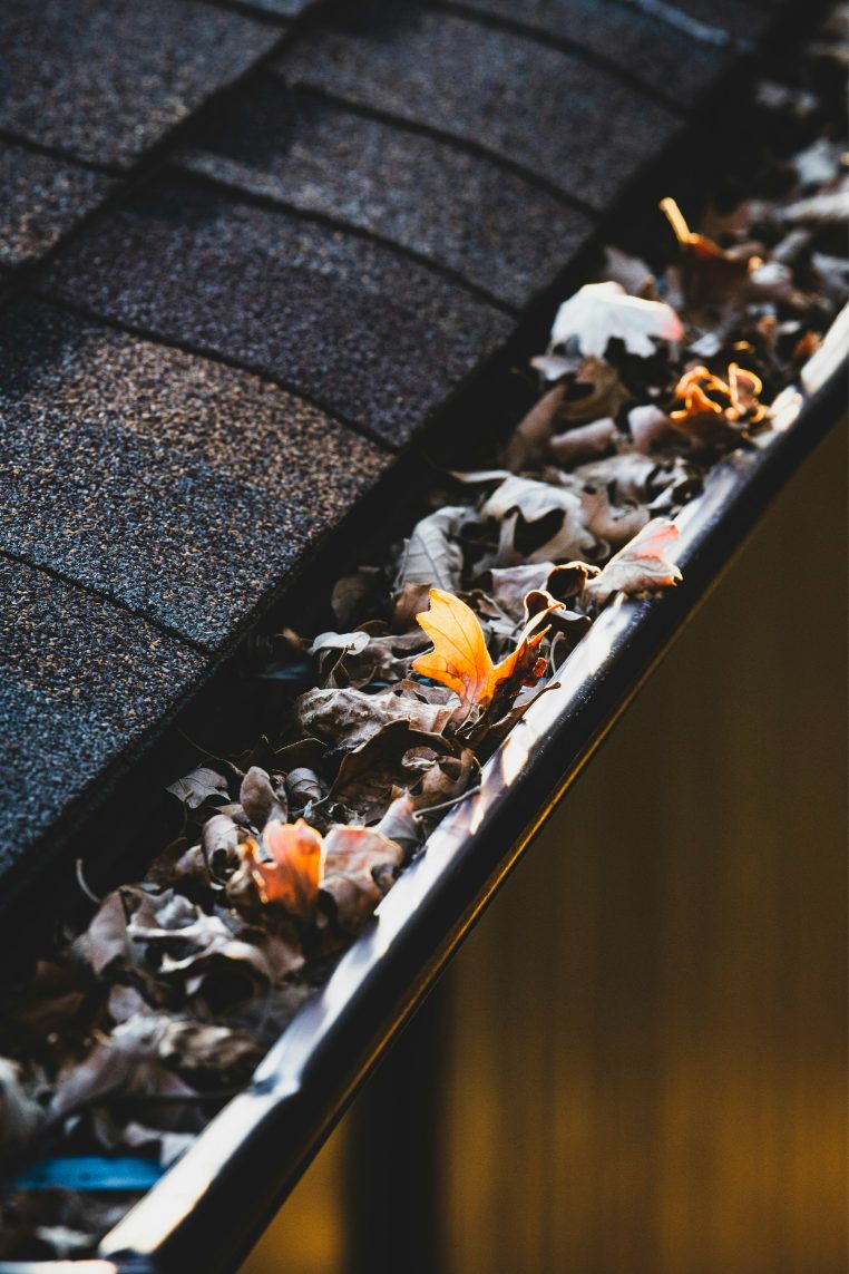 Gutter clogged with fall leaves